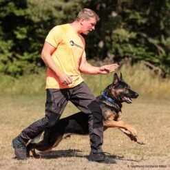 SPORTHUND Active-Shirt Herren Neon -Trixi Haustier Geschaft 5700690m07sporthund active shirt 5700691 dsh