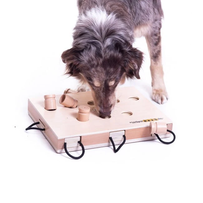 Geschicklichkeitsspiel IPet Smart Laptop 4 Geschicklichkeitsspiel IPet Smart Laptop – Bild 2