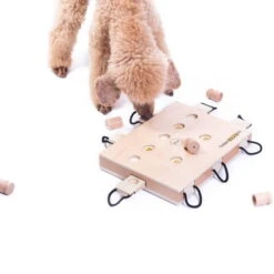 Geschicklichkeitsspiel IPet Smart Laptop 8 Geschicklichkeitsspiel IPet Smart Laptop -Trixi Haustier Geschaft 701363607ipet smart dog laptop anwendung2 7013636