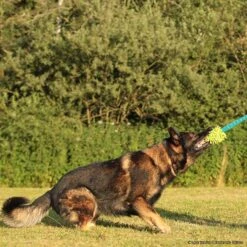 MOPIK HULA -Trixi Haustier Geschaft 702132606mopik hula blau gruen p4dc8322 7021326i3VKbhQ8D9lQh