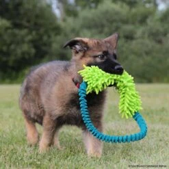 MOPIK HULA -Trixi Haustier Geschaft 7021326074mopik hula blau gruen crt 7369 7021326