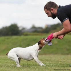 MOPIK HULA -Trixi Haustier Geschaft 702132607mopik hula lila pink p4dc3013 7021326SyEtfpj2FGMYV