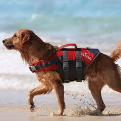 Hunter Schwimmweste Moss -Trixi Haustier Geschaft 7022090m07hunter schwimmweste moss meer