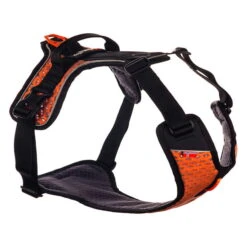 Trixi Haustier Geschaft -Trixi Haustier Geschaft 702210806nonsptop dogware ultra harness vorne 7022108tHcKWxWRshkuG