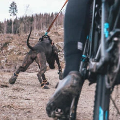 Non-Stop Protector Bootie -Trixi Haustier Geschaft 702212307non stop protector bootie anwendung2 7022123