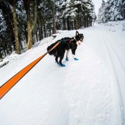 Non-Stop Dogwear Bungee Leash 2m 9 Non-Stop Dogwear Bungee Leash 2m -Trixi Haustier Geschaft 7022125071non stop dogware bungee leash anwendung2 7022125