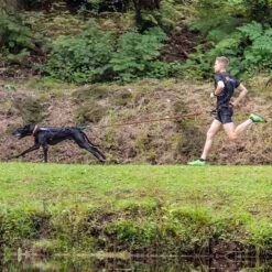 Non-Stop Dogwear Bungee Leash 2m 8 Non-Stop Dogwear Bungee Leash 2m -Trixi Haustier Geschaft 702212507non stop dogware bungee leash anwendung 7022125