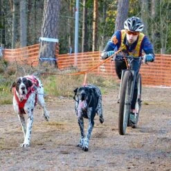 Non-Stop Dogwear Bungee Leash Double 9 Non-Stop Dogwear Bungee Leash Double -Trixi Haustier Geschaft 7022127071bungee leash pro double anwendung2 7022127