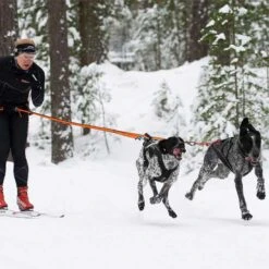 Non-Stop Dogwear Bungee Leash Double 8 Non-Stop Dogwear Bungee Leash Double -Trixi Haustier Geschaft 702212707bungee leash pro double anwendung 7022127