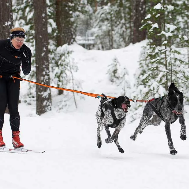 Non-Stop Dogwear Bungee Leash Double 5 Non-Stop Dogwear Bungee Leash Double – Bild 3