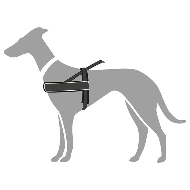 Hunter Norwegergeschirr Racing Schwarz 4 Hunter Norwegergeschirr Racing Schwarz – Bild 2