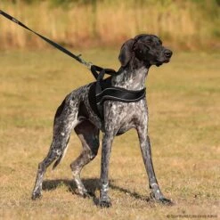 Hunter Norwegergeschirr Racing Schwarz 7 Hunter Norwegergeschirr Racing Schwarz -Trixi Haustier Geschaft 7022220m07hunter norwegergeschirr racing schwarz 7022220 hound