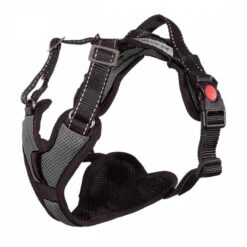 Sledwork Mountain Pro Harness -Trixi Haustier Geschaft 7023026072sledwork mountain pro harness anthrazit 7023025mPky71OVdcGFJX