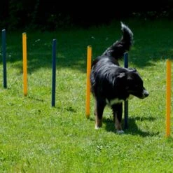 Trixi Haustier Geschaft -Trixi Haustier Geschaft 703036606agility huerden und slalomset 7030366