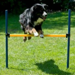 Agility Einsteigerset Hürden, Slalom, Box -Trixi Haustier Geschaft 7030366071agility huerden und slalomset huerde 70303661HNfOi42XjrCr