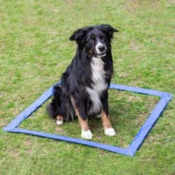 Agility Einsteigerset Hürden, Slalom, Box -Trixi Haustier Geschaft 703036607agility huerden und slalomset box 7030366UPjg1xeCiHuqH