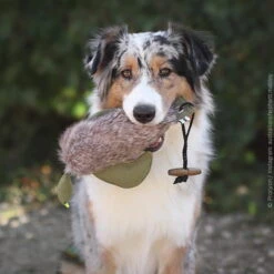 Duck Dummy Mit Fell -Trixi Haustier Geschaft 703038707duck dummy mit fell anwendung 7030387ooBMlC0Ele4bg