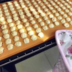 Cahuna Silikon Backmatte -Trixi Haustier Geschaft 7030396072cahuna silikon backmatte anwendung2 7030396