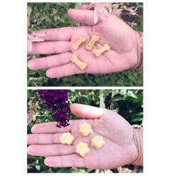 Cahuna Silikon Backmatte -Trixi Haustier Geschaft 7030396073cahuna silikon backmatte anwendung4 7030396