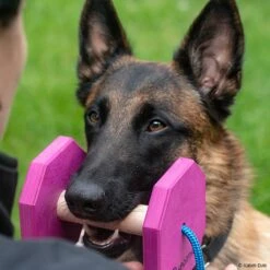 Obedience Holz-Apportel Mit Seil -Trixi Haustier Geschaft 7261540m06obedience holz apportel mit seil 7261540 malinois