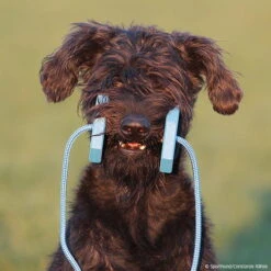 Obedience Holz-Apportel Mit Seil -Trixi Haustier Geschaft 7261540m071obedience holz apportel mit seil 7261601 schnauzer