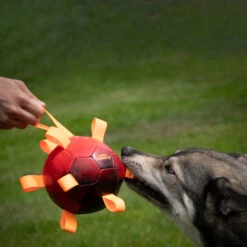 Dog Comets Hypernova -Trixi Haustier Geschaft 7265140m06dog comets hypernova anwendung 7265140m