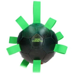 Dog Comets Hypernova