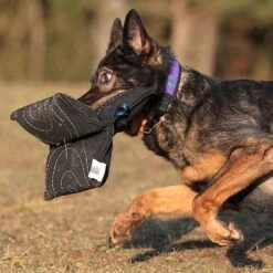 Sporthund Triple Star Kissen -Trixi Haustier Geschaft 733420806sporthund triple star kissen 7334208