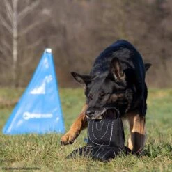 Sporthund Triple Star Kissen -Trixi Haustier Geschaft 7334208071sporthund triplestarkissen 7334208 dshUN5K3a3eMNTtD