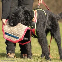 3-Griff-Kissen Plus -Trixi Haustier Geschaft 7334222071sporthund 3griffkissen p4dc5742 7334222