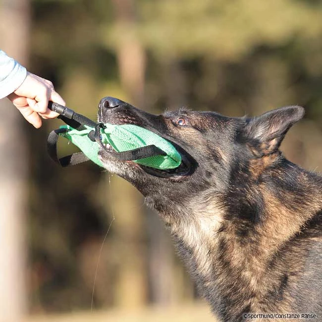 FreshLine Beißkissen 4 FreshLine Beißkissen – Bild 2