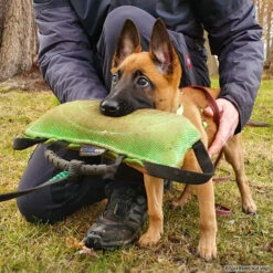 FreshLine Beißkissen 7 FreshLine Beißkissen -Trixi Haustier Geschaft 742501507freshline beisskissen 7425015c4XJMnWoXYbFh