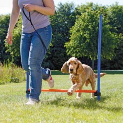 Trixi Haustier Geschaft -Trixi Haustier Geschaft agility huerde 2 7030337irfY6vDoOsJkO