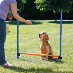 Trixie Agility Hürde 7 Trixie Agility Hürde -Trixi Haustier Geschaft agility huerde 3 7030337bOjM36aOQsCWJ