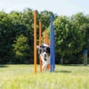 Trixie Fun Agility Slalom 2 Trixie Fun Agility Slalom -Trixi Haustier Geschaft agility slalom 70303393OoSuJAvaBMdY