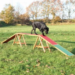 Trixie Agility Steg