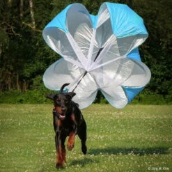 Bremsfallschirm Widerstandsschirm