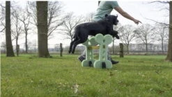 Trixi Haustier Geschaft -Trixi Haustier Geschaft dogagilitysetsprung 7030354626QWrQvvJCEV