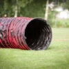 Dogsworld Agility Tunnel 5,5 M 2 Dogsworld Agility Tunnel 5,5 M -Trixi Haustier Geschaft dogsworld agility tunnel 6440118xBEdeXD41jpaS