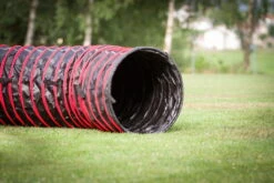 Dogsworld Agility Tunnel 5,5 M