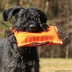 FreshLine Keilförmiges Beißkissen Nylcot -Trixi Haustier Geschaft freshline keilfoermigesbeisskissen p4dc5288 7425065yM2F6JYXoW0zq