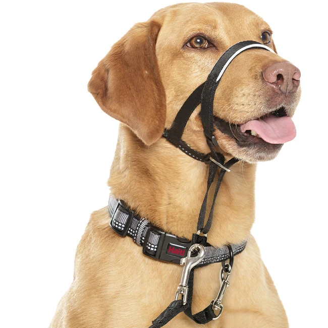 Original Halti Headcollar 3 Original Halti Headcollar