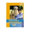 DVD Hundetrainig Mit Martin Rütter 1 DVD Hundetrainig Mit Martin Rütter -Trixi Haustier Geschaft hundetraining martin ruetter 8110834