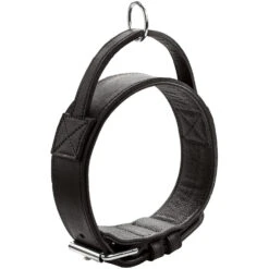 Hunter Trainingshalsband Mit Griff Larvik