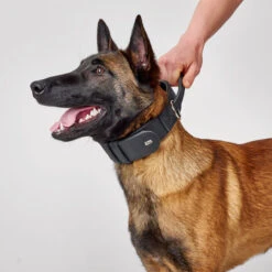 Hunter Trainingshalsband Mit Griff Larvik 10 Hunter Trainingshalsband Mit Griff Larvik -Trixi Haustier Geschaft hunter trainingshalsband larvik malirlMOwSt6f6KGG