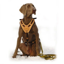 Niggeloh Geschirr Mantrailing -Trixi Haustier Geschaft niggeloh geschirr mantrailing anwendung 7017100wkXplHKuEBTA8