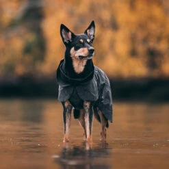 PAIKKA Visibility Raincoat Dark -Trixi Haustier Geschaft paikka visibility raincoat dark anwendung 7226395m