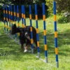 Profi Agility Slalom 1 Profi Agility Slalom -Trixi Haustier Geschaft procyon slalom 1 7030360