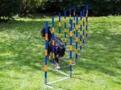 Neue Veröffentlichungen -Trixi Haustier Geschaft procyon slalom 2 7030360