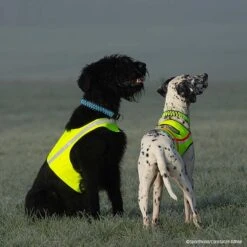 Visupart Hundebody Standard Signalgelb -Trixi Haustier Geschaft visupart hundebodystandard crt 7999 4598095zzGa4OOjbC27B